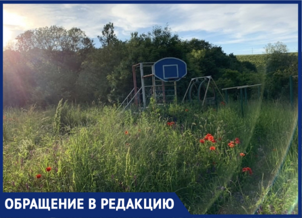 Вся в траве и маке: жительница Новороссийска возмущена состоянием детской площадки в с.Федотовка Вся в траве и маке: жительница Новороссийска возмущена состоянием детской площадки в с.Федотовка