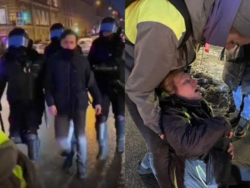 Ногой в живот: полиция извинилась перед избитой на митинге женщиной Ногой в живот: полиция извинилась перед избитой на митинге женщиной