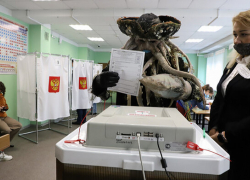 Дейви Джонс, Зебра Марти и Петр I: кого еще можно было встретить на избирательных участках страны Дейви Джонс, Зебра Марти и Петр I: кого еще можно было встретить на избирательных участках страны