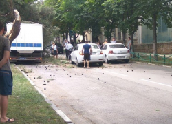 Тщательно спланированный побег провалился с треском...дерева в Новороссийске Тщательно спланированный побег провалился с треском...дерева в Новороссийске