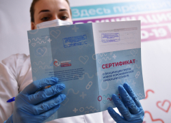 Стало известно, что грозит врачам Новороссийска за поддельные сертификаты о прививках Стало известно, что грозит врачам Новороссийска за поддельные сертификаты о прививках