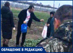 «Сколько людей разорилось!» - новороссийцы переживают за фермерские хозяйства «Сколько людей разорилось!» - новороссийцы переживают за фермерские хозяйства