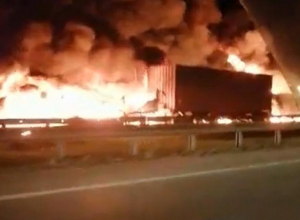 По дороге из Новороссийска в Краснодар ночью пылали пожары По дороге из Новороссийска в Краснодар ночью пылали пожары
