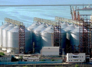 Новый генеральный директор назначен в «Новороссийский зерновой терминал» Новый генеральный директор назначен в «Новороссийский зерновой терминал»