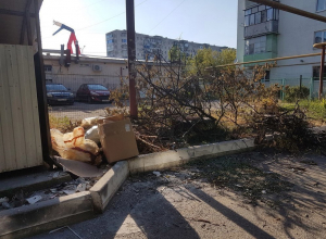 Сухие ветки обрезали, а вывезти забыли в Новороссийске Сухие ветки обрезали, а вывезти забыли в Новороссийске