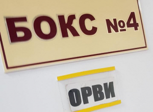 «Они поползут по кроватям», - о тараканах в новороссийской инфекционке «Они поползут по кроватям», - о тараканах в новороссийской инфекционке