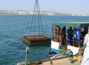 «Послания потомкам» достали спустя 50 лет со дна моря в Новороссийске «Послания потомкам» достали спустя 50 лет со дна моря в Новороссийске