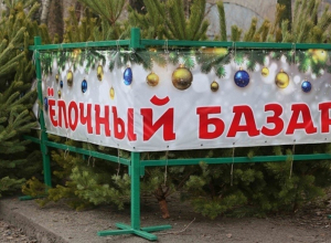 В Новороссийске начали создавать новогоднее настроение В Новороссийске начали создавать новогоднее настроение