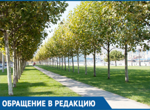В центре города новороссийцам не хватает мусорных урн В центре города новороссийцам не хватает мусорных урн