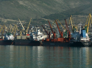 Возможно, придется пересматривать тарифы Новороссийскому морскому торговому порту Возможно, придется пересматривать тарифы Новороссийскому морскому торговому порту