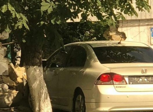 Забор, который устоял во время войны в Новороссийске, не устоял перед легковушкой Забор, который устоял во время войны в Новороссийске, не устоял перед легковушкой