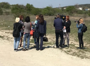 Новороссийск решает собачьи проблемы Новороссийск решает собачьи проблемы