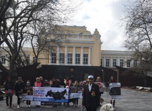 Готова вторая часть видеообращения к президенту в защиту животных, снятая в Новороссийске Готова вторая часть видеообращения к президенту в защиту животных, снятая в Новороссийске