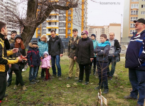 Через 100 лет Пионерская роща в Новороссийске превратится в дубраву Через 100 лет Пионерская роща в Новороссийске превратится в дубраву