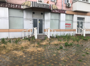 От элитного ресторана в центре Новороссийска остались крысы и тараканы От элитного ресторана в центре Новороссийска остались крысы и тараканы
