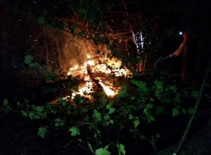 Только к утру удалось ликвидировать пожар в Цемесской роще Новороссийска Только к утру удалось ликвидировать пожар в Цемесской роще Новороссийска