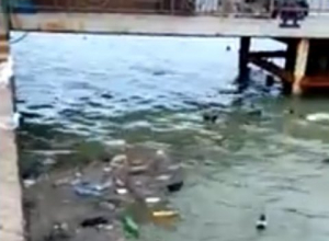Кучами мусора на берегу моря поддерживают год экологии в Новороссийске Кучами мусора на берегу моря поддерживают год экологии в Новороссийске