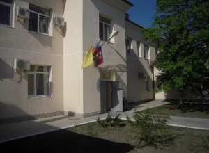 Год назад в новороссийской инфекционке тараканов не было Год назад в новороссийской инфекционке тараканов не было