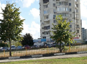 Успеет ли депутат Ярышев за три дня детскую площадку восстановить? Успеет ли депутат Ярышев за три дня детскую площадку восстановить?