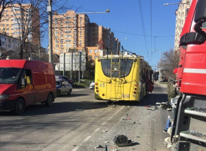 Рогатые стали причиной двух ДТП в Новороссийске Рогатые стали причиной двух ДТП в Новороссийске