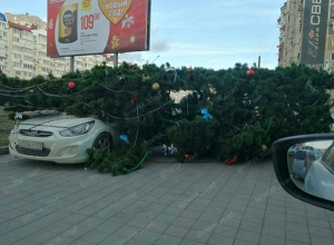 Ураган порывами до 40 метров в секунду ожидается в Новороссийске Ураган порывами до 40 метров в секунду ожидается в Новороссийске