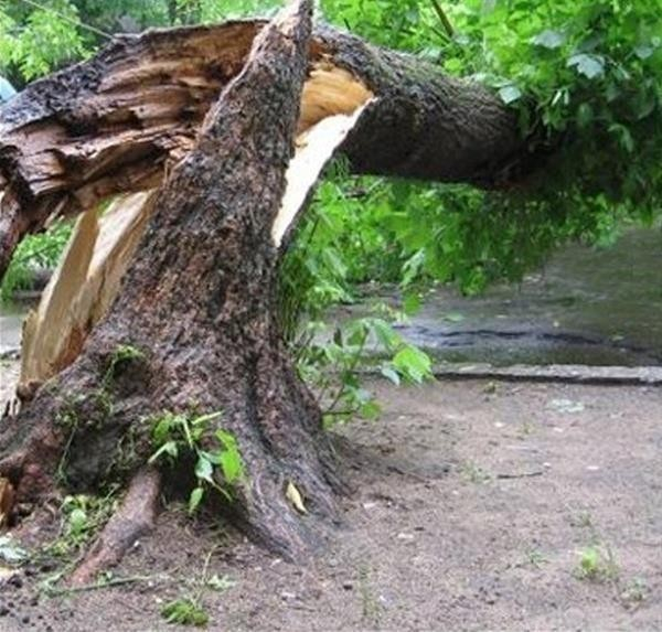 Накрыл ребенка собственным телом и спас ему жизнь: несчастный случай под Геленджиком Накрыл ребенка собственным телом и спас ему жизнь: несчастный случай под Геленджиком