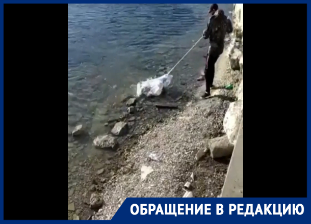 «Тучи» рыб погибают в Новороссийске «Тучи» рыб погибают в Новороссийске