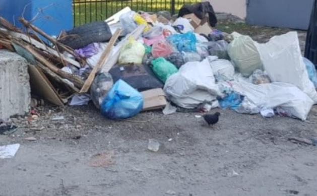 Горы мусора могут засыпать Новороссийск уже в январские праздники Горы мусора могут засыпать Новороссийск уже в январские праздники