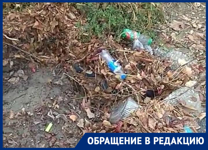 Новороссийцы борются с мусором в ливневках Новороссийцы борются с мусором в ливневках