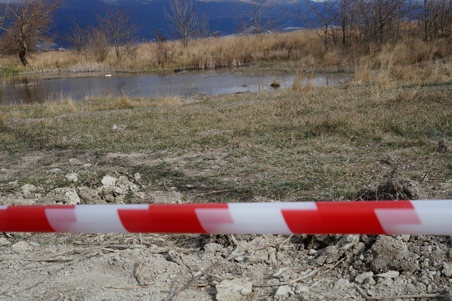 Новороссийские СМИ начали кампанию по обелению строителей, устроивших геноцид краснокнижникам Новороссийские СМИ начали кампанию по обелению строителей, устроивших геноцид краснокнижникам