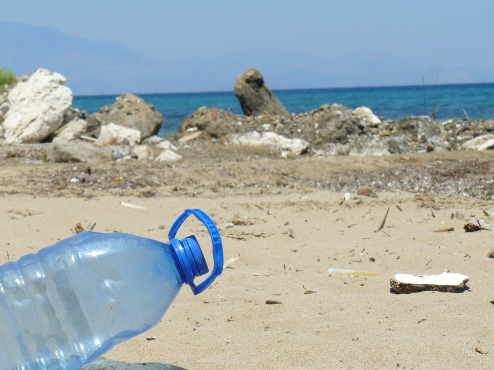 Пляжи Новороссийска разгребают от мусора