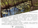 Есть или нет: Росводресурсы и Росреестр о водном объекте в Пионерской роще