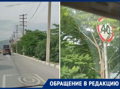 Знак не видно, а он есть: водители Новороссийска нарушают правила из-за разросшейся зелени