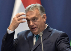 Этнические венгры подняли вопрос о присоединении Закарпатья к Венгрии
