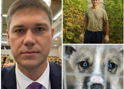 Госдума защитит животных и поможет фермерам: Сергей Алтухов озвучил желания новороссийцев