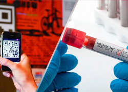 QR-код за антитела: могут ли новороссийцы получить сертификат без прививки 