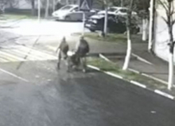 Неидеальное преступление: новороссийцы украли коляску и попались на видео