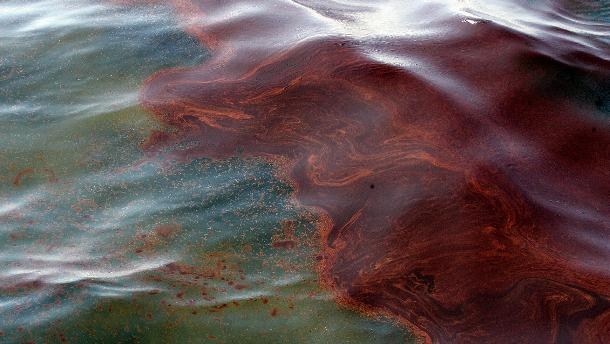 КТК намеривается обжаловать в суде сумму ущерба от разлива нефти под Новороссийском