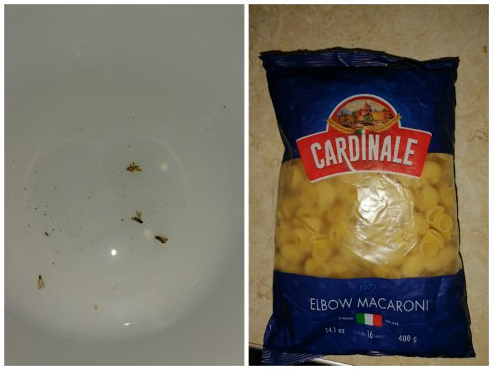 «Сюрприз» от производителя: новороссийцы нашли мух в макаронах