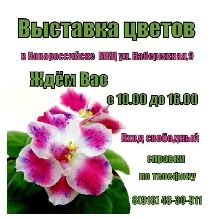 Магазин Растений Новороссийск Магазин Растений Новороссийск