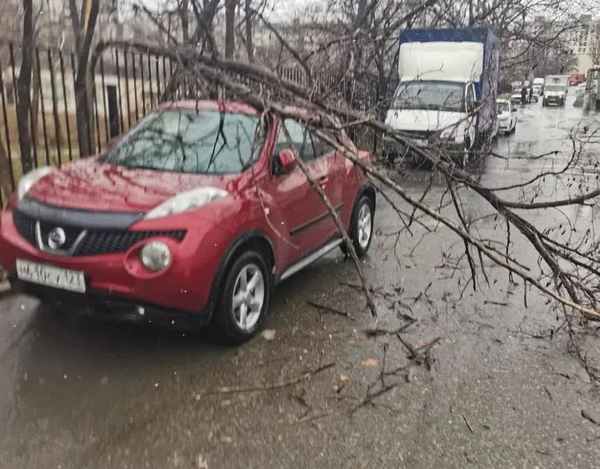 Выставка авто в новороссийске. Смотреть фото Выставка авто в новороссийске. Смотреть картинку Выставка авто в новороссийске. Картинка про Выставка авто в новороссийске. Фото Выставка авто в новороссийске