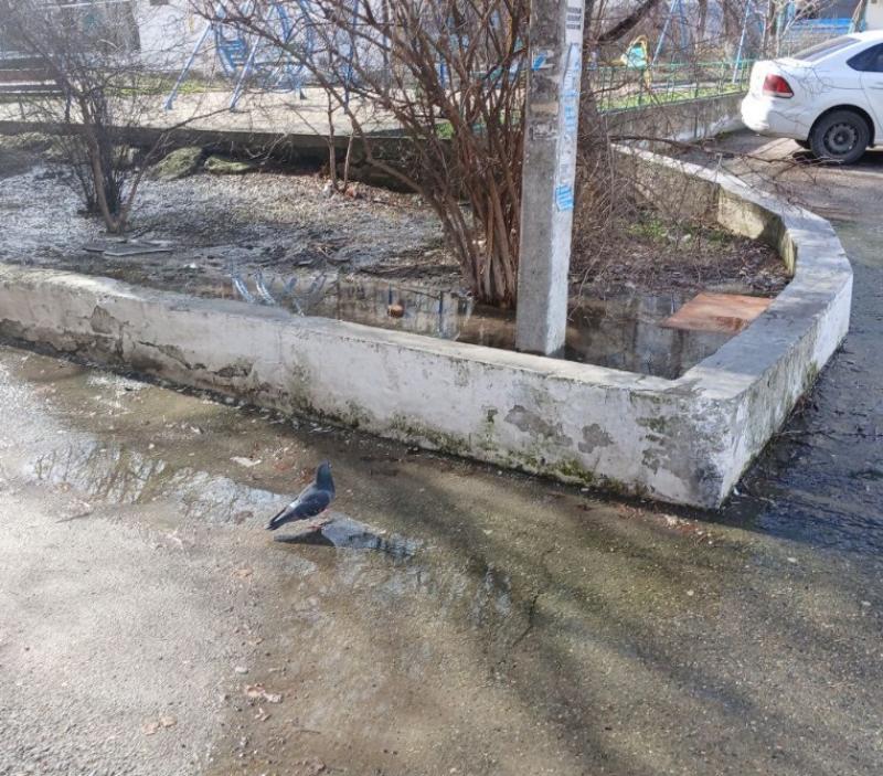 Течь на пр. Ленина, г. Новороссийск